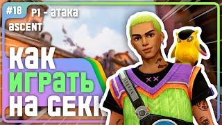 Как Играть за ГЕККО в VALORANT???  - #18 p1 - (Ascent/Gekko)