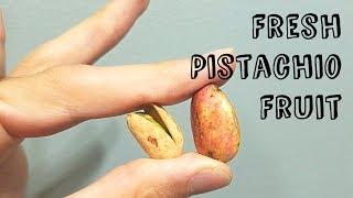 What do FRESH Pistachios taste like? - Weird Fruit Explorer Ep 237