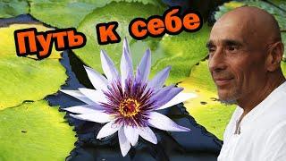 Путь к себе / Сатсанг со Станиславом Милевичем