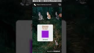 CatWar - первые съёмки с телефона