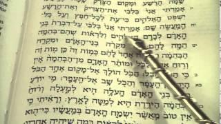 Kohelet - Ecclesiastes Reading the entire book Hebrew Sukkot Rabbi Weisblum מגילת קהלת קריאה סוכות