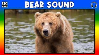  BEAR SOUND - BEAR SOUND EFFECT - SOUND OF BEAR - NOISE OF BEAR