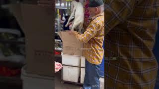 Sold out all India transport shahid goat farm Delhi 9811488158 watsup only