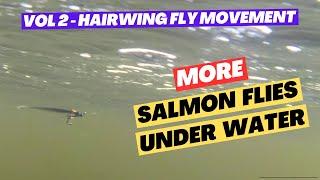 How Hairwing Flies Move Under Water - Be Amazed!