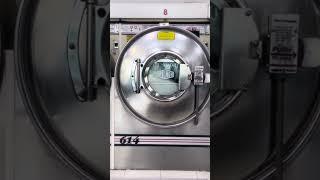 Pillow Spa Treatment at the Laundromat: Pure Bliss!