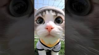 The Cat Was Just Curious… Then Melted Like Clay
