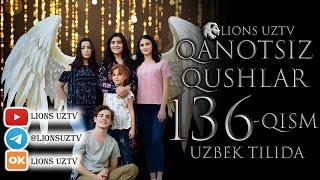 QANOTSIZ QUSHLAR 136 QISM TURK SERIALI UZBEK TILIDA | КАНОТСИЗ КУШЛАР 136 КИСМ УЗБЕК ТИЛИДА