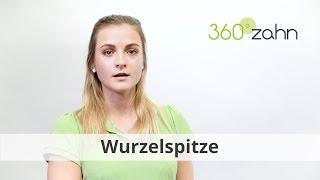 Wurzelspitze - Was ist eine Wurzelspitze? | Dental-Lexikon | 360°zahn