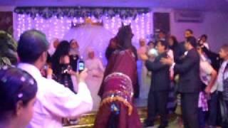 Ranya Bellydance - The "Horse Dance"