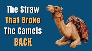 The Straw That Broke the Camel's Back - Idiom Meaning, Origin, Examples