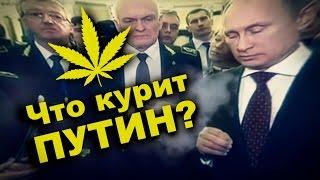 ЧТО КУРИТ ПУТИН? (Очередное бредовое заявление президента РФ)