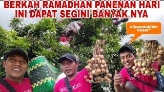 BERKAH RAMADHAN PANENAN HARI INI DAPAT SEGINI BANYAK NYA ALHAMDULILLAH