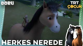 Doru | Herkes Nerede