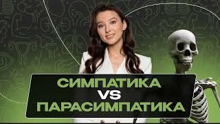 САМАЯ СЛОЖНАЯ ТЕМА АНАТОМИИ | БИОЛОГИЯ | ОГЭ 2023 | МАСТЕР-ГРУППА | 99 БАЛЛОВ