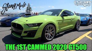 STANGMODE Goes ROLL RACING! 1st Cammed 2020 GT500 Lines Up With A Mclaren & A GT350R