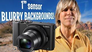 Panasonic Lumix LX10 half the cost of a Sony RX100vii with blurry background