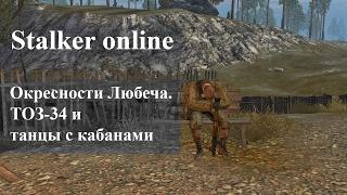 Сталкер онлайн. #5  Окресности Любеча. Тоз 34 и танцы с кабанами.