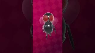A fly is a scatman