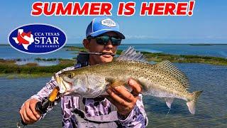 Wade Fishing with Topwater Lures! CCA TEXAS STAR!