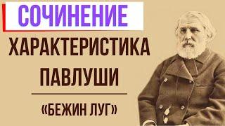 Характеристика Павлуши в рассказе «Бежин луг» И. Тургенева