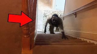 Top 8 SCARY Ghost Videos That Are Ridiculously Creepy