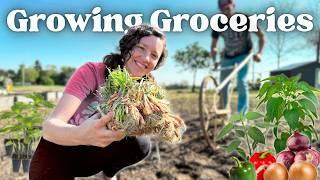 How To Grow A TON OF FOOD Without Burning Out (part 1)