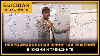 Нейрофизиология принятия решений. В жизни и трейдинге. Высшая психология. Сергей Змеев. 18+