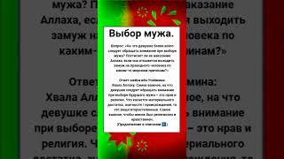 Выбор мужа.