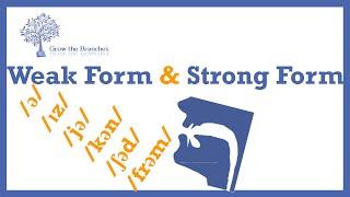 Strong and Weak Forms in English