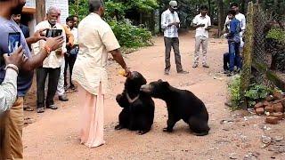 Hindu Temple With Bears