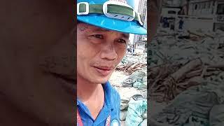 noly vlog