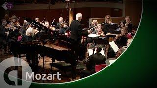 Mozart: Piano Concerto No. 21 - Netherlands Philharmonic Orchestra, Ronald Brautigam - Live HD