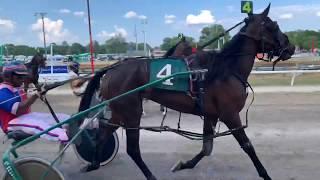 Harness Racing Up Close and Personal