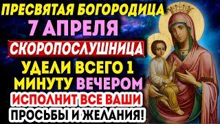 ЧУДО СЛУЧИТСЯ! ПРОЧТИ СЕГОДНЯ ВЕЧЕРОМ ЭТУ СИЛЬНЕЙШУЮ МОЛИТВУ БОГОРОДИЦЕ ЛЮБОЙ ЦЕНОЙ!