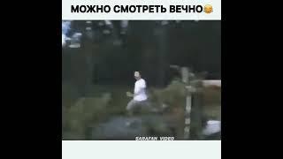 #смішнівідео #відео #кумедно #смішно #підняти #настрій