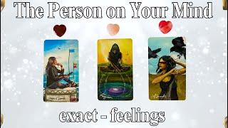 THE * PERSON * on YOUR MIND (Exact-Feelings)     #timeless Tarot Psychic Reading! | Pick a Card