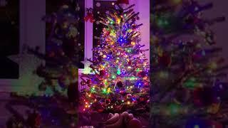 We decorated the Christmas tree#cristmastree