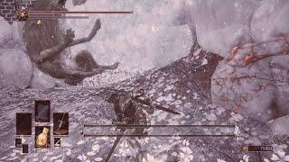 DS3: Gravetender Greatwolf Cheese