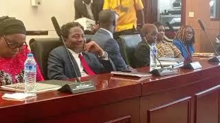 USA Travel Ban Saga: Liberian Senate Grills Foreign Affairs Minister (Full Video)