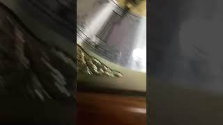 Video of my grandparents Howard Miller 610-519 grandfather clock