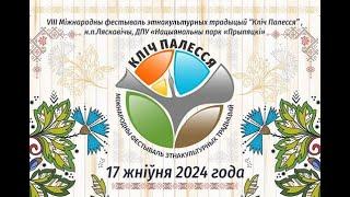 Лазерное шоу презентация фестиваля ЗОВ ПОЛЕСЬЯ в Национальном парке Припятьский 17 августа 2024 года