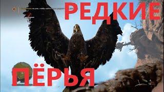 FarCry Primal #8 Редкие пёрья