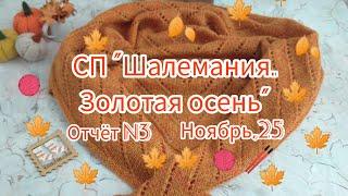 Вязание. Бактус-косынка в СП "Шалемания. Золотая осень." Готовая работа ноября. Отчёт N3. Обзор.