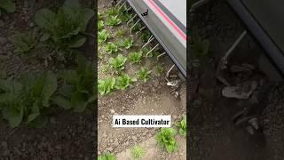 Smart Weeding Cultivator By Stout Industrial Technology Salinas California || #shorts