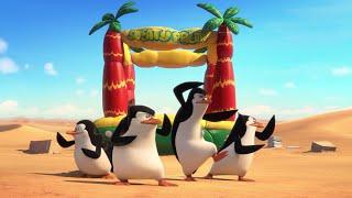 Penguines Take Flight Scene | Penguine of Madagascar