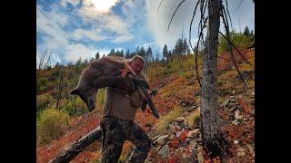 Wolf Hunting- 2019 Idaho- HOWLING A PACK OF 13 WOLVES INTO 30 YARDS