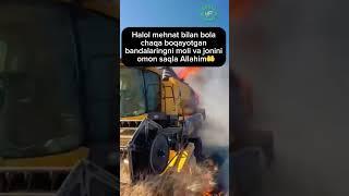 New holland kombayn yonib ketdi #sholibazaar #uzbekistan #shorts