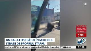 Un bărbat din Dolj şi-a bătut calul în mijlocul străzii pentru că nu mai trăgea căruţa