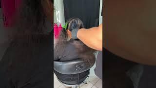 ALISA TUDO #progressivasemformol #progressiva #tutorial #alisamento #alisamentosemformol #cabelos