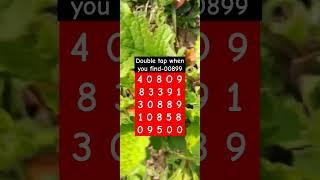 Double tap when you find-00899 #shorts #puzzlegame #brainteaser